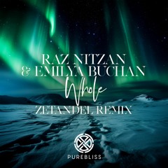 Raz Nitzan & Emilya Buchan - Whole (Zetandel Remix)
