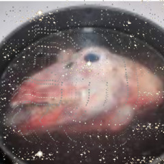 ᛊᛟᚢᚾᛞᚲᛚᛟᚢᛞᚷᚢᛞᛖᚾ