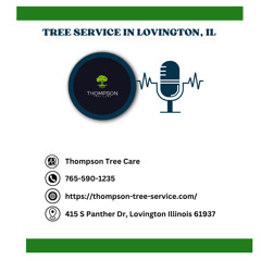 how-much-does-stump-grinding-cost-central-illinois