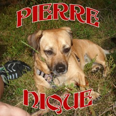 DJ PIES - Pierre Nique