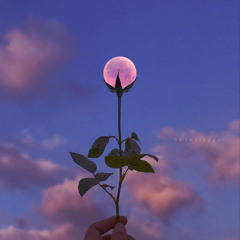 birds dont fly like this. archived (prod. noizy)