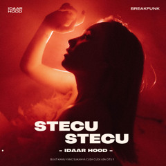 STECU STECU [ IDAAR HOOD ] #BREAKBEATFUNKY