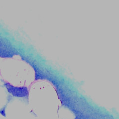 what am i (prod. peril‬)