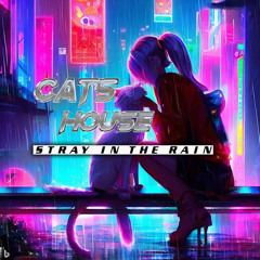 Cats House - Stray In The Rain