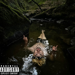 C U L8R ALLIGATOR PROD.AVRAM