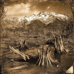 Cold bayou