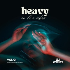 Heavy on the Vibes Vol 1