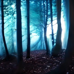 Lights in the Forest