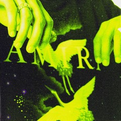 Амири (feat. INTERNETLOVER)