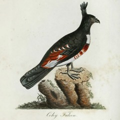 hk_fantaisies_Sets_50