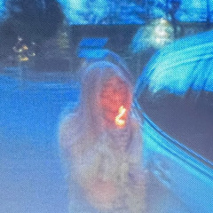 stay until the sun dies w/ jariius