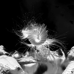 Floating (Introdeucer Remix)