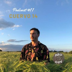 Cuervo 14 #11 (AroAroRecordings)