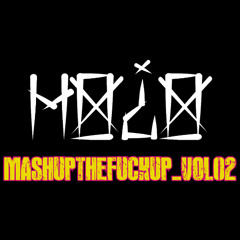 MASHUPTHEFUCKUP_VOL02