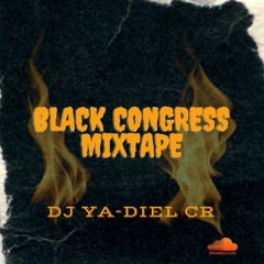Black Congress By Ya-diel