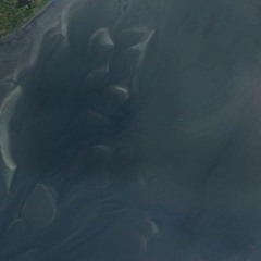 Looking Down