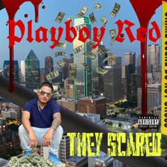 They Scared ft Young Mak