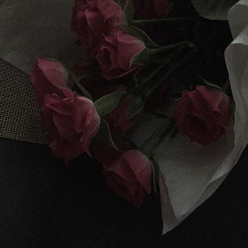 💋ENHYPEN - Bite Me💋Cover by. [레볼루션 하트] Jack x [저지먼트] Neukiun