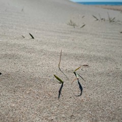 Islands