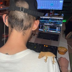 도마뱀 조후추 박사 생일잔치, 대룡빌딩 230805(Crested gecko Dr.Pepper Birthday Party at Dae-ryong BLD)
