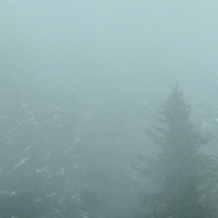 Meditation on the Fog No.2