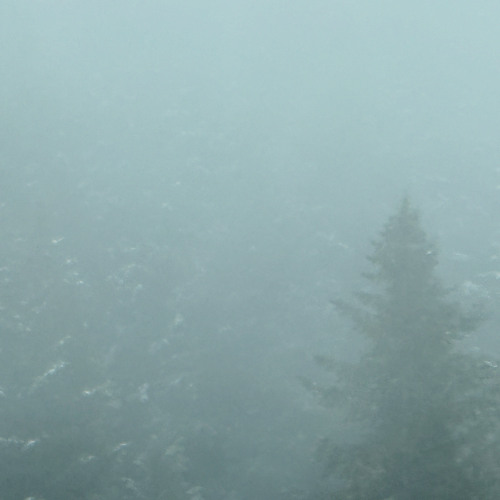Meditation on the Fog No.2