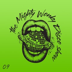 The Mighty Wonky Disco Show - 09