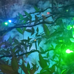류현준 - 새벽