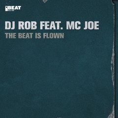 Boy's Interface (Rotterdam Mix)