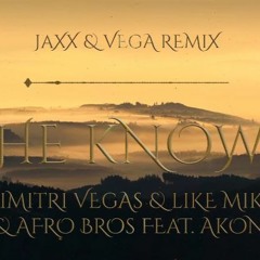Dimitri Vegas & Like Mike & Afro Bros Ft. Akon - She Knows (Jaxx & Vega Remix)