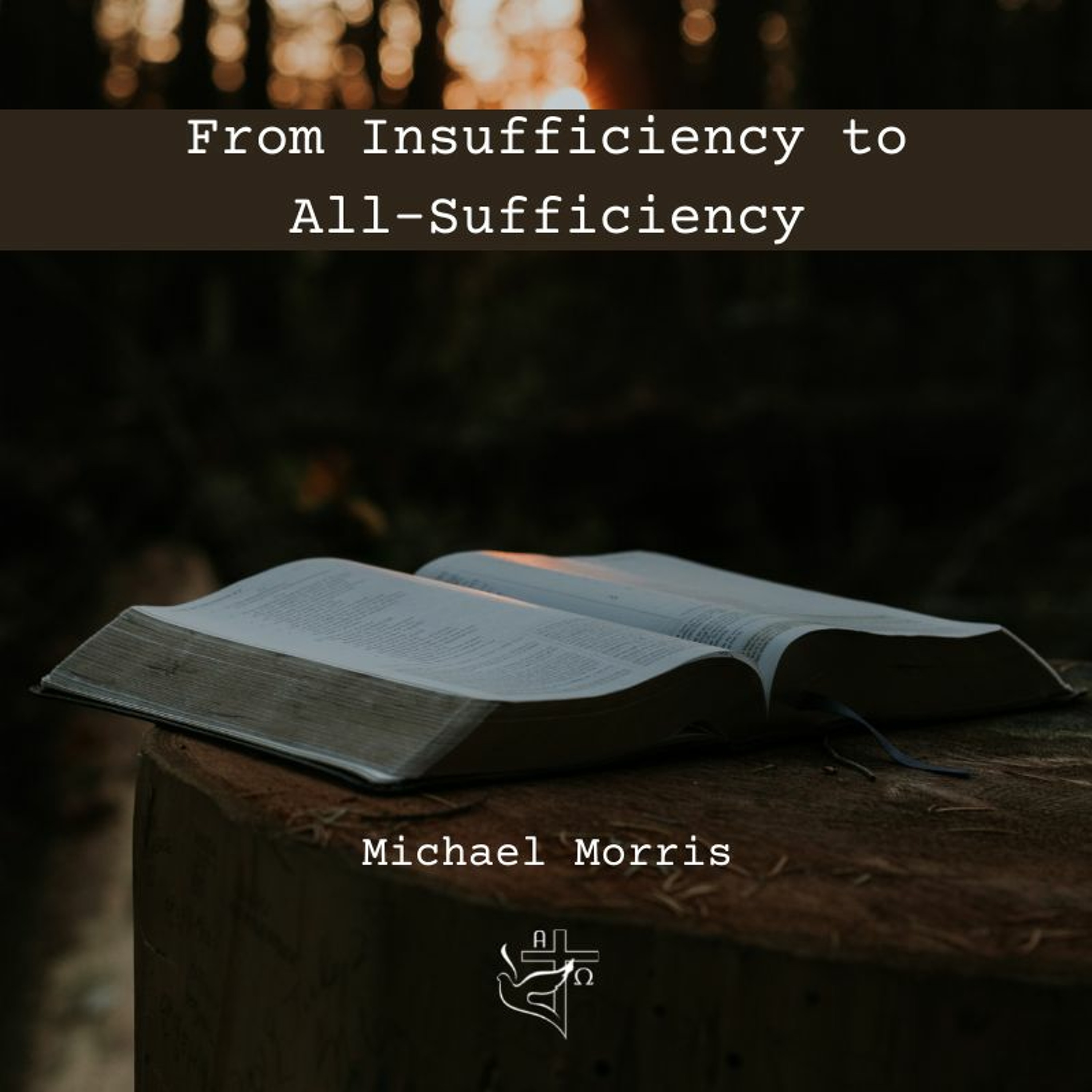 From Insufficiency to All-Sufficiency episode artwork