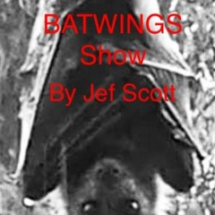 BATWINGS SHOW #29