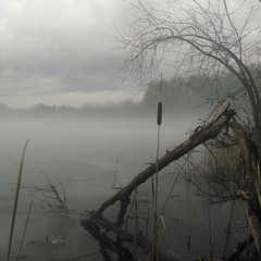 Madman Across the Water