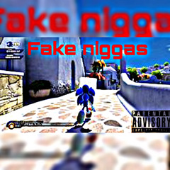 fake niggas