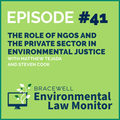 The Role of NGOs and the Private Sector in Environmental Justice With Matthew Tejada and Steven Cook