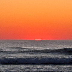 ELMA - CALIFORNIA GIRL