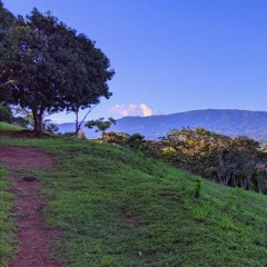 LeftMyHeartAtHome (demo)