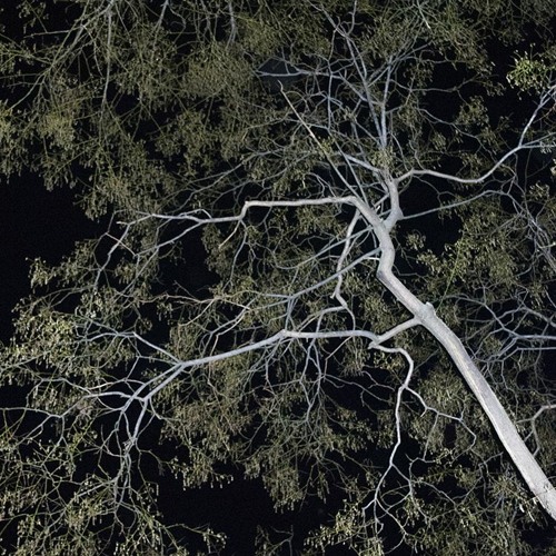 PREMIERE : Kanthor - Epitaphe [Shaded Explorations]