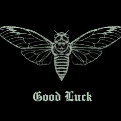 Cicada 1559 ( Good Luck )