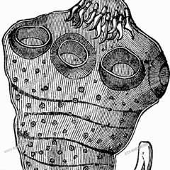 4-AlpLuachra-EndaMix-v11