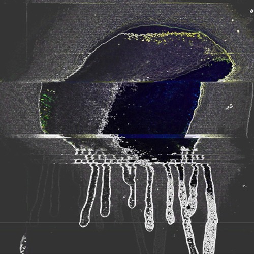 Change My Head