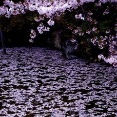 cherryrosepetals prod geekum + wintfye