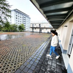 Stefan vom Bahnhof abholen