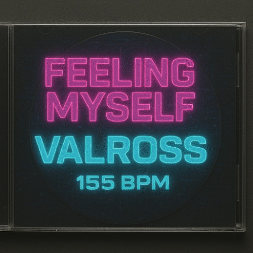 23, Roc Boyz - Feeling Myself (valross hypertechno bootleg)