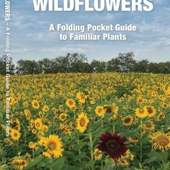 ✔Kindle⚡️ Ohio Trees & Wildflowers: A Folding Pocket Guide to Familiar Plants (Wildlife