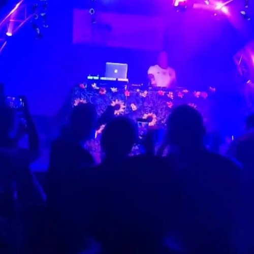 Chris Van Neu @ Electronic Waldgeflüster Zweibrücken