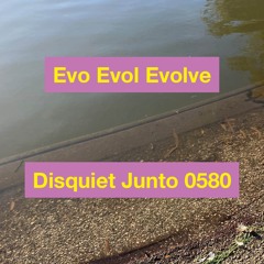 The Euclidean Chromaticon | Evo Evol Evolve - disquiet0580