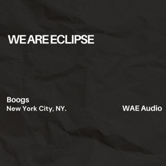 WAE Audio 009: Boogs
