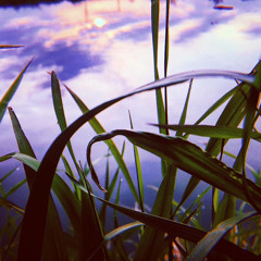 7.6 billion colors / Lofi beats