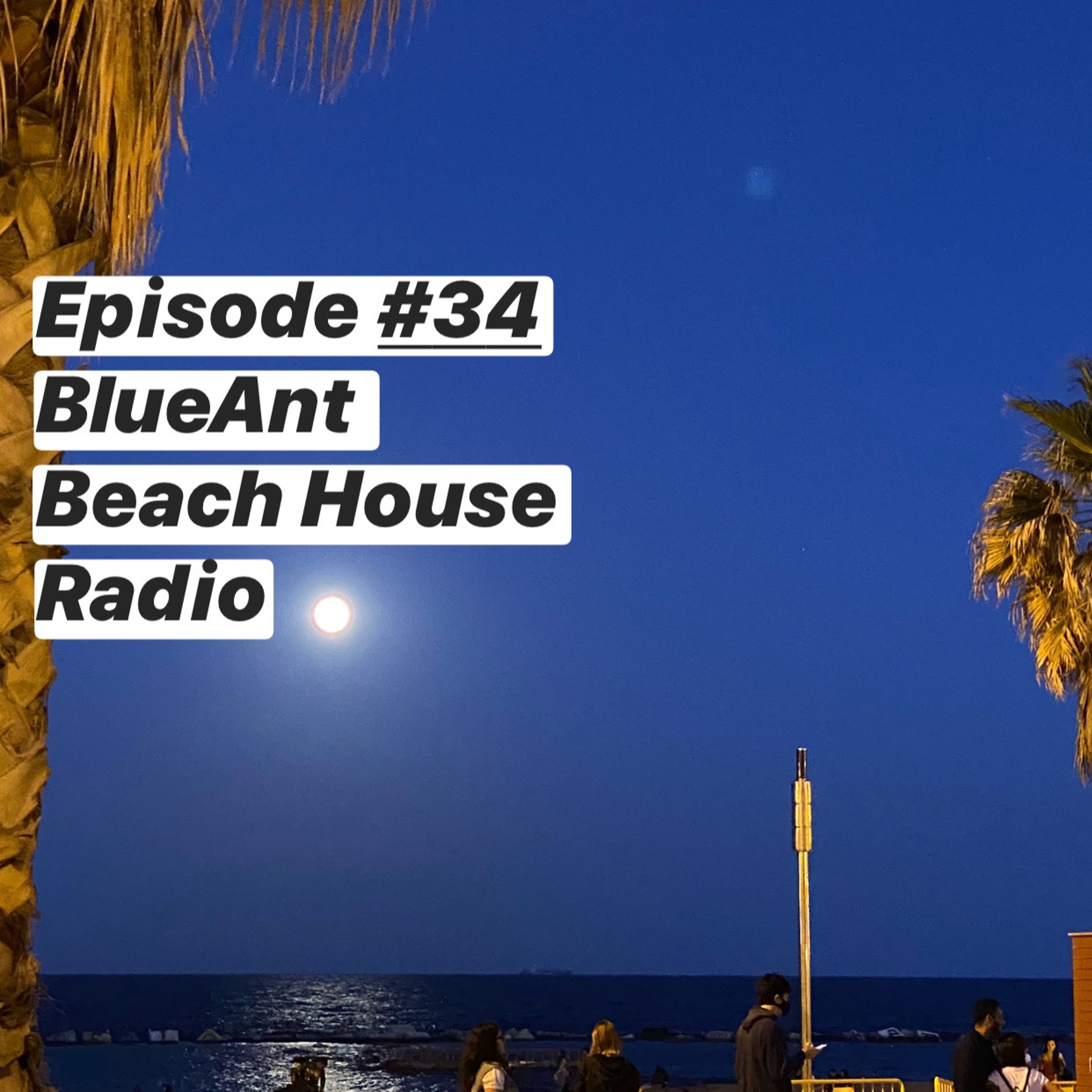 BlueAnt Beach House Radio